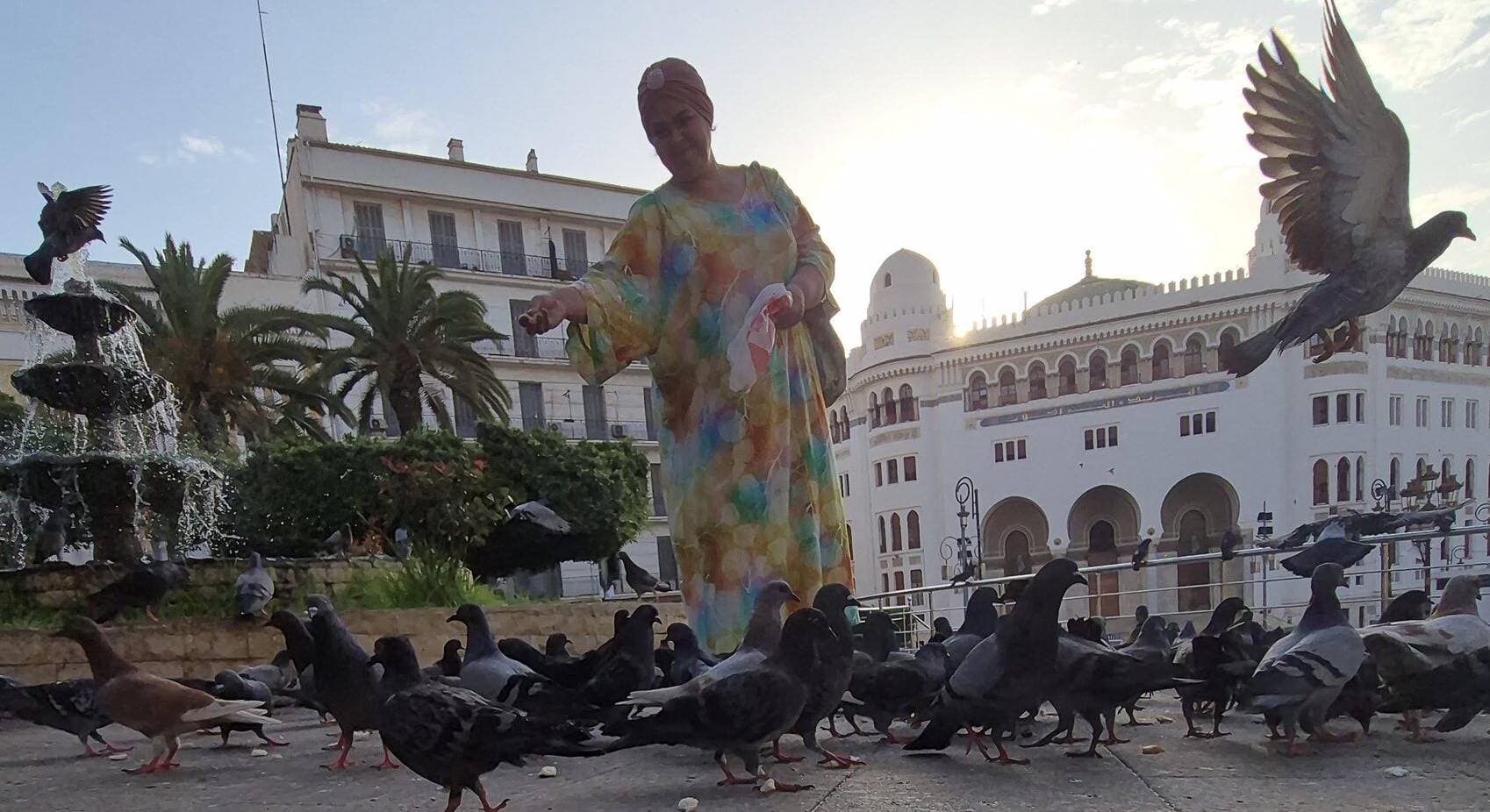 Femme nourrissant les pigeons sur la place de la Grande Poste à Alger, à l'heure dorée